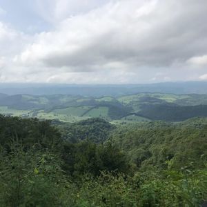 Meet your Posher, Misty